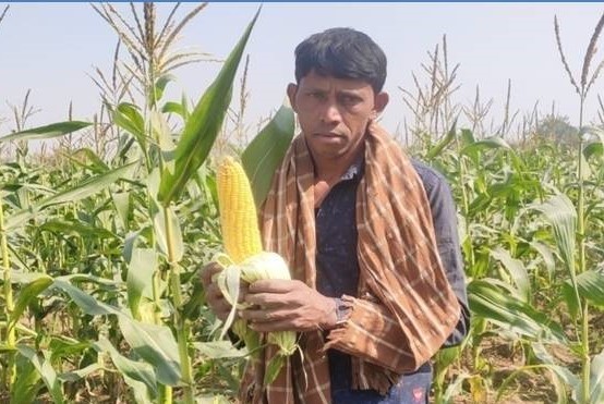 ACC's LEISA project empowers farmers in Bargarh District